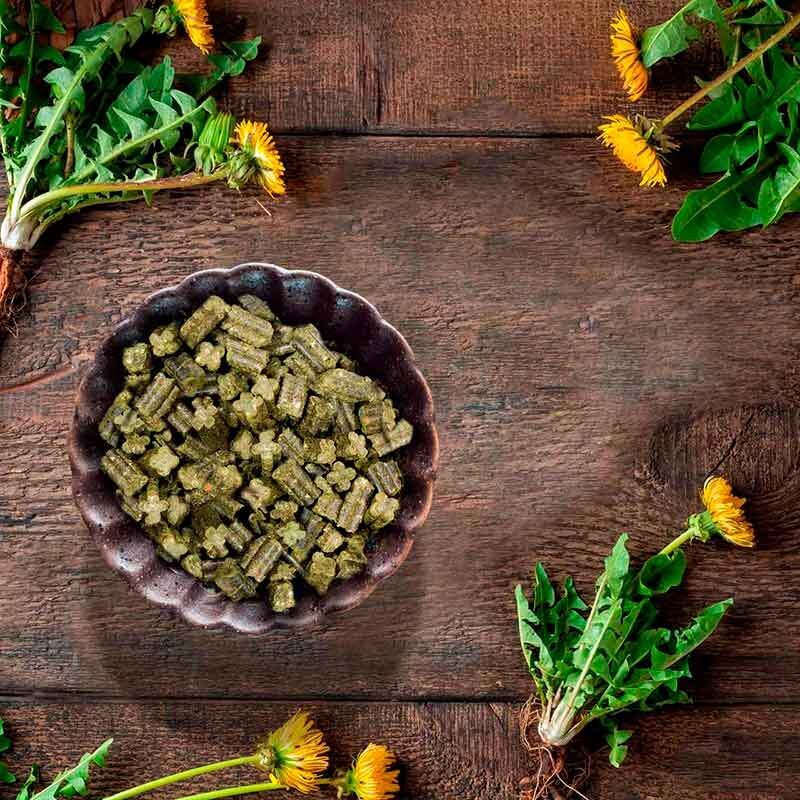 Купити JR Farm (Джиер Фарм) Grainless Complete Dwarf Rabbits ...