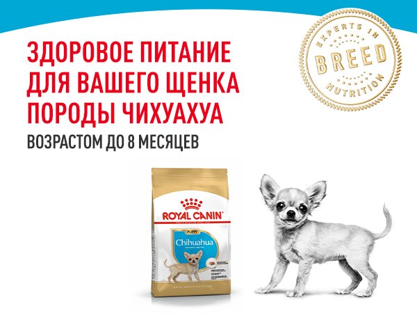 Сухой корм для щенков Royal Canin Chihuahua Puppy