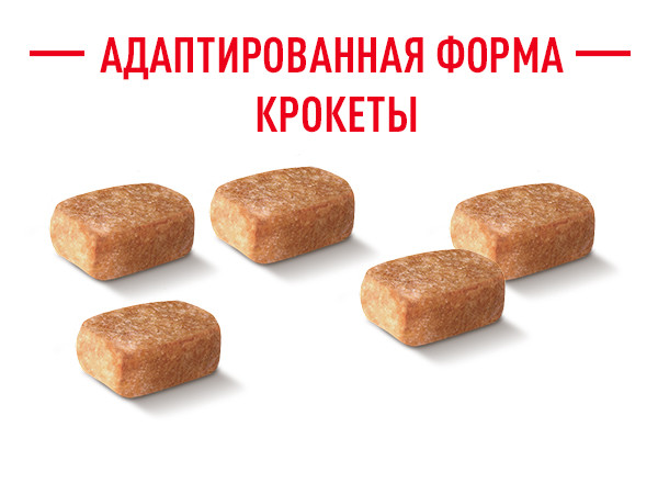 специальная крокета Роял канин для щенков чихуахуа